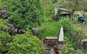 Appartement avec jardin à Colmar